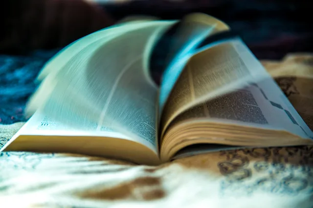 book, page, open book, reading, book, open book, open book, open book, open book, open book. Creator taxes: vet these sources before you trust a guide