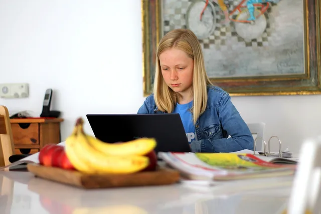 homeschooling, school, technology, digital, computer, dark, online learning, blue light, children, program, homeschooling, homeschooling, online learning, online learning, online learning, online learning, online learning. Creator tax surveys: choose tools by study size