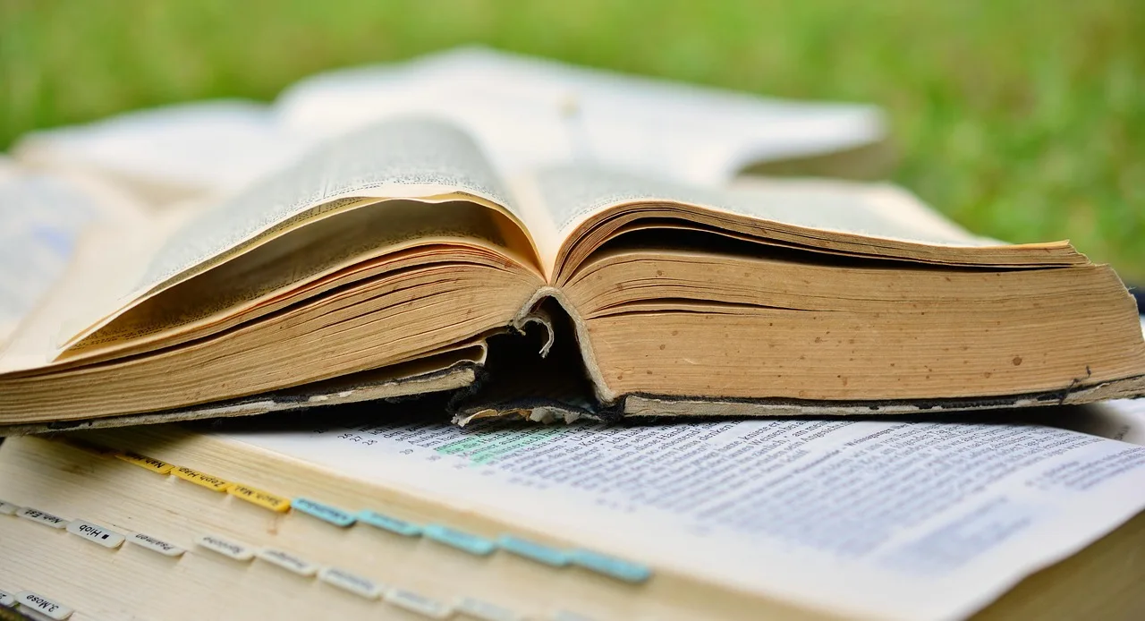 a book, bible, pitched, read, christian literature, holy scripture, book page, paper, faith, bible, bible, bible, bible, bible